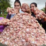 Yummy cooking stir fried chicken gizzards recipe and eat with rice recipe