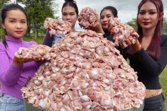 Yummy cooking stir fried chicken gizzards recipe and eat with rice recipe