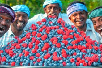 BLUEBERRY & RASPBERRY | Delicious Fruit Rava Kesari Recipe Cooking in American Village | Sooji Sweet