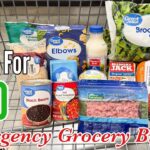 39 Meals For $20 | Quick & EASY Cheap Meal Ideas | Emergency Grocery Budget Shopping | Julia Pacheco