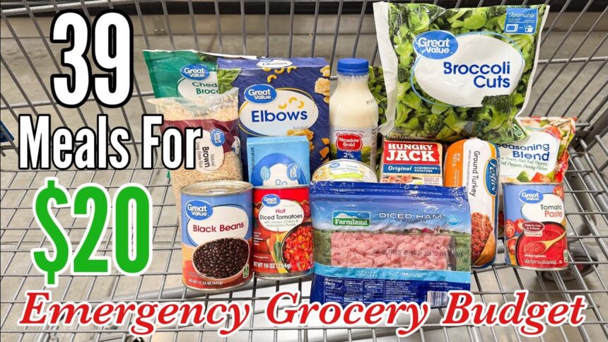 39 Meals For $20 | Quick & EASY Cheap Meal Ideas | Emergency Grocery Budget Shopping | Julia Pacheco