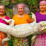 Amazing Crocodile Meat Grilled Classic Recipe Ingredients Eating in Village