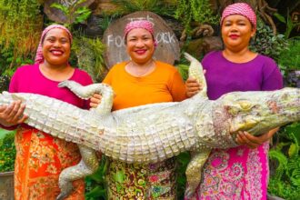 Amazing Crocodile Meat Grilled Classic Recipe Ingredients Eating in Village