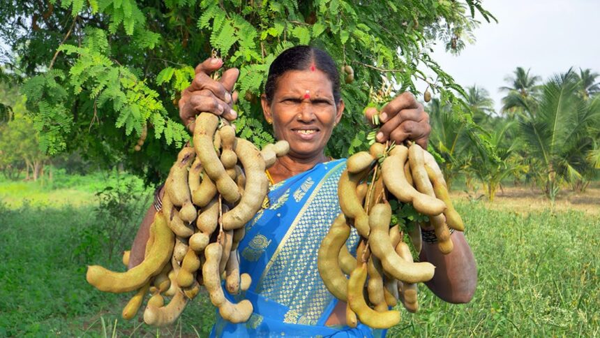 Roasted Tamarind Recipe | Rasam Cooking Village | Raw Tamarind Curry Recipe | Side Dish Recipes