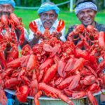 AMERICAN LOBSTER | Huge Lobster Cooking & Eating in American Village | Lobster Seafood Feast in USA