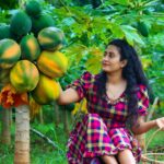 Papaya Recipes 🍑 Juices Sweets and Warm Desserts for Rainy Days in My Sri Lankan Village Kitchen