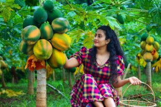 Papaya Recipes 🍑 Juices Sweets and Warm Desserts for Rainy Days in My Sri Lankan Village Kitchen