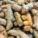 Master Growing, Harvesting, and Using Fresh Turmeric at Home! – One Green Planet