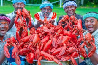 AMERICAN LOBSTER | Huge Lobster Cooking & Eating in American Village | Lobster Seafood Feast in USA