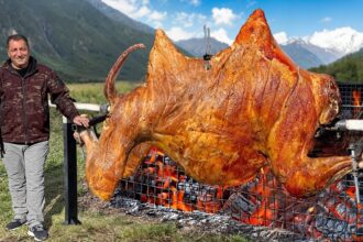 Roasted A Whole Double Humped Camel! THE BEST Meat You Can Try