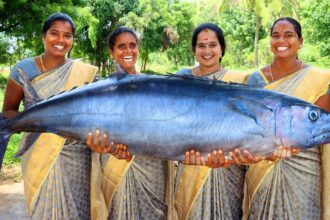 25 KG KING VANJARAM FISH BIRYANI | Spanish Seer Fish Biryani Recipe Cooking in Village #villagebabys