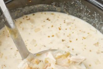 close up of white chicken chili in crockpot with ladle