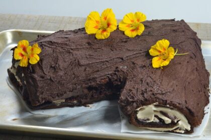 Christmas Log Cake [Vegan] – One Green Planet