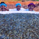 10 MILLION TINY FISHES | Ayira Meen | Rare River Fish Cleaning and Cooking In Village | Fish Recipes