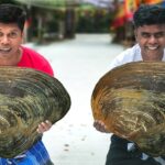 2.5 Kg GIANT CLAM | Biggest Clams Roast Recipe | Cooking In China Village