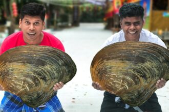 2.5 Kg GIANT CLAM | Biggest Clams Roast Recipe | Cooking In China Village