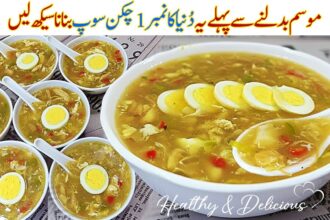 Chicken Soup Recipe | Hot and Sour Soup | Chicken Soup for Winter | Restaurant Style Chicken Soup