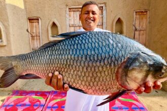 Spicy Fried Fish Recipe | The Ultimate Fried Fish Recipe  | Mubashir Saddique | Village Food Secrets
