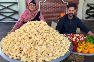BIG Shell PASTA || Indian Style Pasta Recipe | Pasta Recipe | Red Sauce Pasta | Veg Village Food