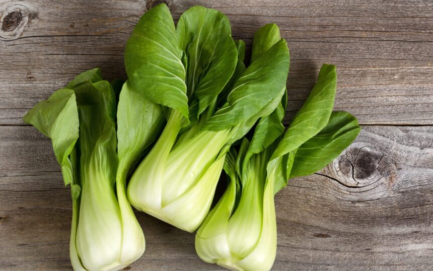 The Easiest Vegetables to Grow at Home for Winter Soups and Stews – One Green Planet