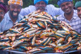 FISH | Sardines Fish Recipe | Mathi Meen Varuval & Kuzhambu Cooking in Village | Fish Fry & Curry