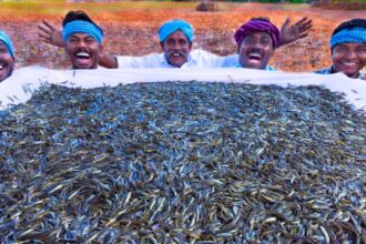 10 MILLION TINY FISHES | Ayira Meen | Rare River Fish Cleaning and Cooking In Village | Fish Recipes