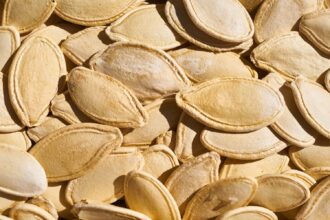 15 Zinc-Packed Foods to Power Through Flu Season – One Green Planet