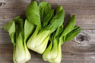 The Easiest Vegetables to Grow at Home for Winter Soups and Stews – One Green Planet