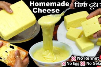 सच में सिर्फ दूध से 5 मिनट में बनाये Market जैसी Cheese घरपर | Homemade Processed Cheese Recipe EASY