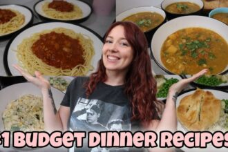 £1 DINNER RECIPES | Meals I Made This Week