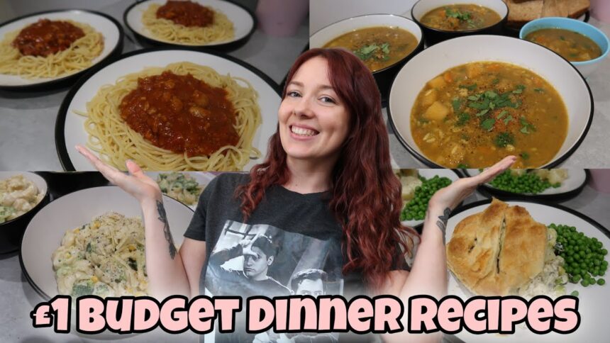 £1 DINNER RECIPES | Meals I Made This Week