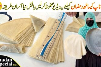 Samosa Patti Roll Patti | New Idea Ramzan Special Recipes | Iftar Recipes by Village Handi Roti