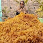 PANEER BHUJIYA || Amazing Paneer Namkeen Recipe By Granny || Veg Village Food