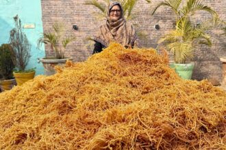 PANEER BHUJIYA || Amazing Paneer Namkeen Recipe By Granny || Veg Village Food