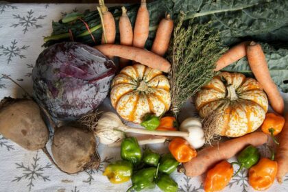Your Guide to Obtaining Fresh, Organic Produce in The Middle of Winter – One Green Planet