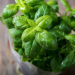 10 Must-Have Spices for Flavorful Veg Cooking – One Green Planet