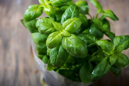 10 Must-Have Spices for Flavorful Veg Cooking – One Green Planet