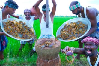 COUNTRY CRAB SOUP | Mud Crab Catching and Cooking in Agricultural land | Vayal Nandu Rasam