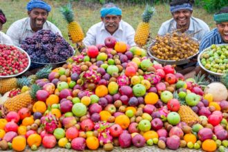 MIXED FRUIT JAM | Colorful Healthy Fruits Mixed Jam Recipe Cooking in Village | Fruits Cutting Skill