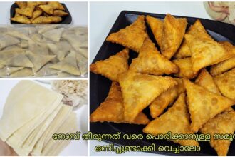 നോമ്പിന് പണി എളുപ്പമാക്കാൻ കുഞ്ഞു കുഞ്ഞു സമൂസകൾ ഉണ്ടാക്കി വെച്ചാലോ🌜Make and Freeze Ramadan snack🌛