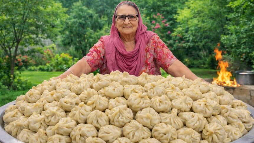PANEER MOMO By Veg Village Food