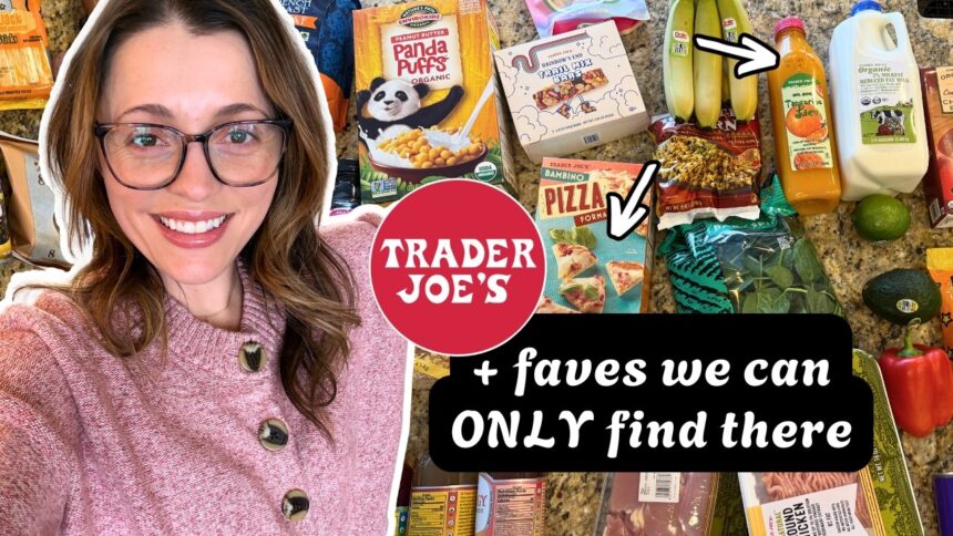 Trader Joe's Grocery Haul  +  3 *easy* weeknight dinner ideas