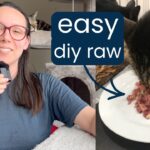 7 homemade raw cat food recipes (beginner to advanced)