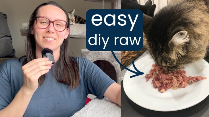 7 homemade raw cat food recipes (beginner to advanced)