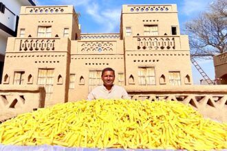 100 KG French Fries Recipe | Crispy French Fries Recipe Cooking by Mubashir Saddique | Village Food