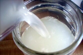 Why You Should Try Coconut Kefir – One Green Planet