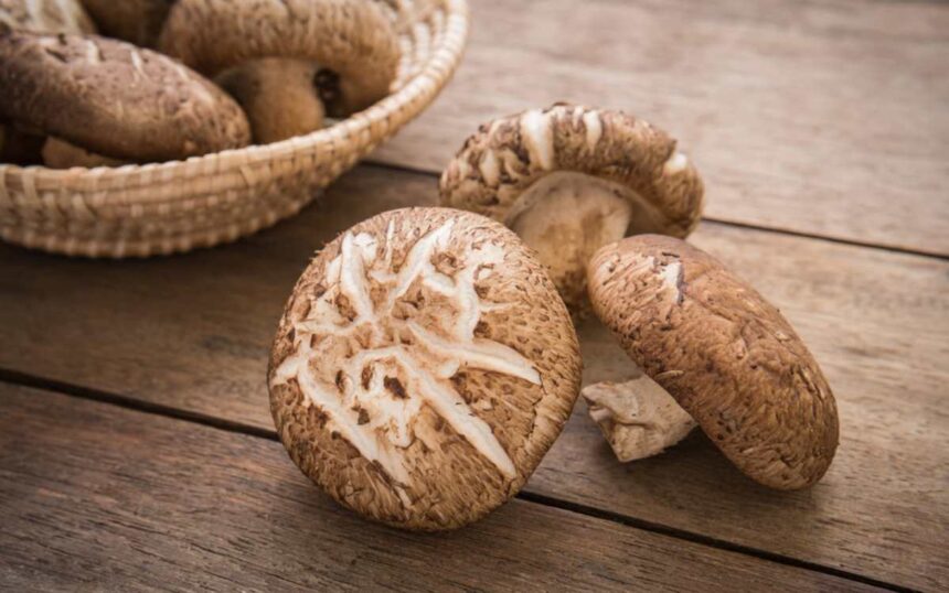 Earthy Umami Magic for Soups, Stir-Fries & Bacon Swaps – One Green Planet