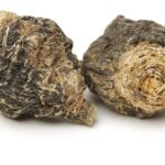 The Peruvian Superfood That Naturally Boosts Energy & Stamina – One Green Planet