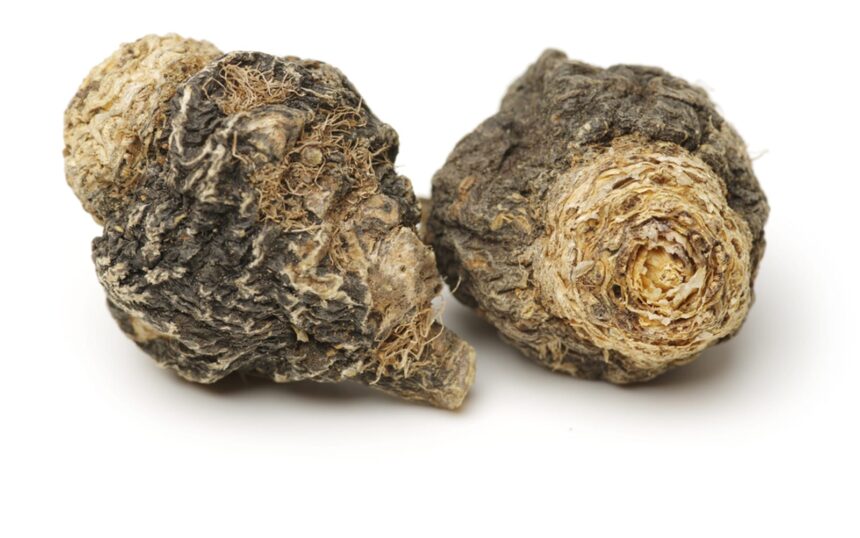 The Peruvian Superfood That Naturally Boosts Energy & Stamina – One Green Planet