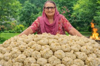 PANEER MOMO By Veg Village Food
